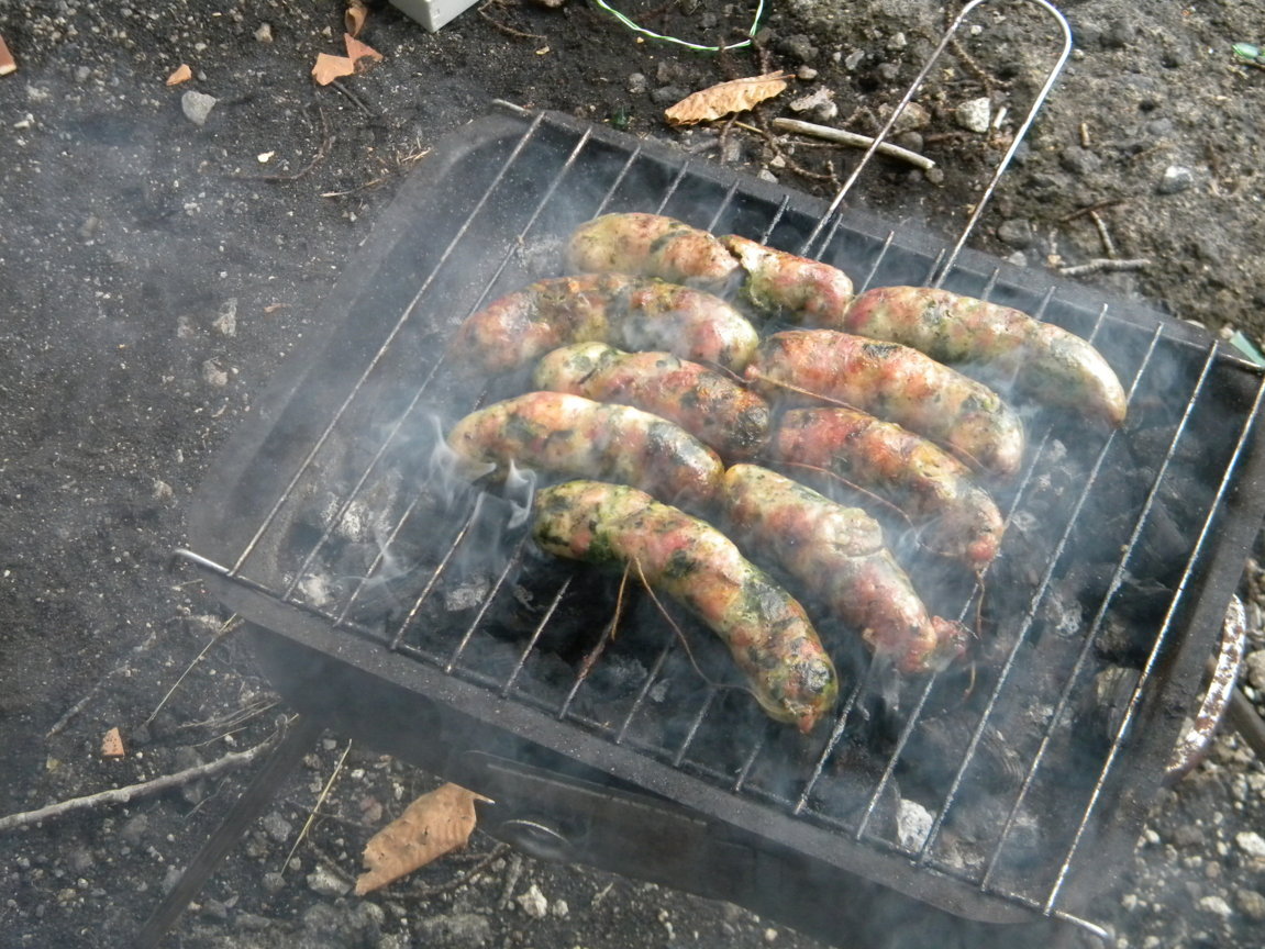 DSCN1069 .JPG